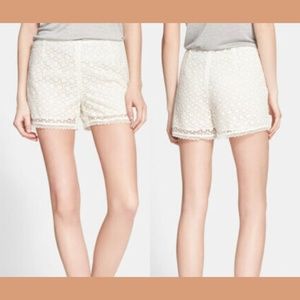 NWT! $238 Joie‎ 'Somme' Crochet Shorts Cream [SZ 6]